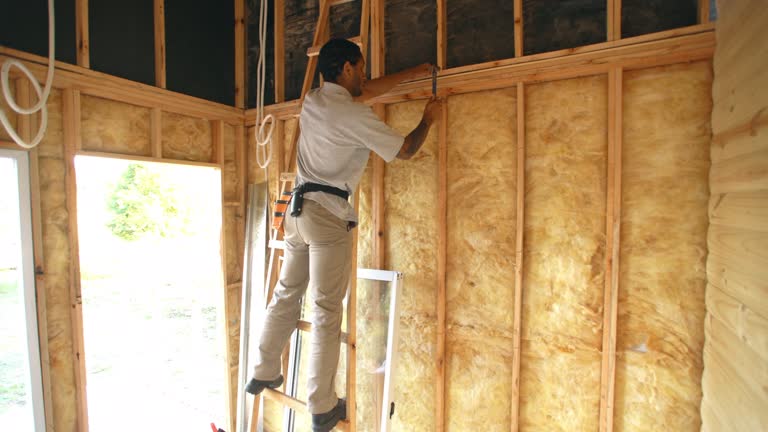 Best Insulation for New Construction  in Passaic, NJ